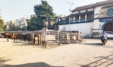 જૂનાગઢ શહેરની રેલ્વે ફાટકની દાયકાઓ જૂની સમસ્યા હલ કરવા શકિતસિંહ ગોહીલની સંસદમાં અસરકારક રજુઆત