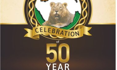 સૌરાષ્ટ્ર ભૂમિ દૈનિકનો આજે ગોલ્ડન જયુબીલી વર્ષમાં મંગલ પ્રવેશ