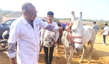 વેટરનરી કોલેજ, કામધેનુ યુનિવર્સિટી, જૂનાગઢ દ્વારા વાંકાનેર ખાતે યોજાયેલ ૧૭માં ‘કામા‘ અશ્વ શોમાં તકનીકી નિષ્ણાંત સેવાઓ પૂરી પાડવામાં આવી