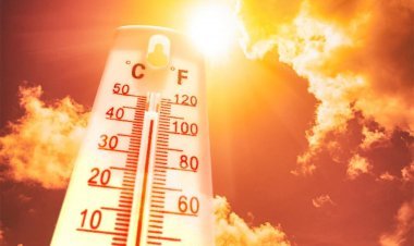 શિયાળો હજુ પુરો થયો નથી ત્યાં હીટવેવની ચેતવણી જારી કરાઈ