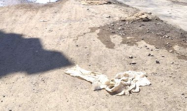 જૂનાગઢમાં વિના વિલંબે રસ્તાનું નિર્માણ કરવા આમ જનતાની માંગણી