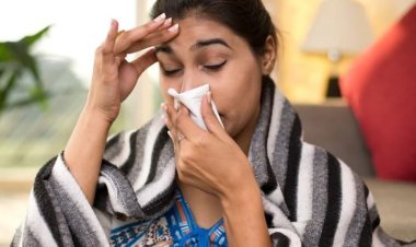 જૂનાગઢ શહેર-જીલ્લામાં રોગચાળો : શરદી, ઉધરસનાં વાયરા