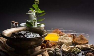 શંખ, છીપલા, કાચબાની ઢાલ, સોના, ચાંદી, લોખંડ વગેરેમાંથી બને છે આરોગ્ય પ્રદાન કરતી ભસ્મ