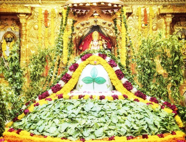 શિવરાત્રીએ સોમનાથ મંદિરે સળંગ ૪૨ કલાક સુધી ભાવિકો માટે ખુલ્લું રહેશે