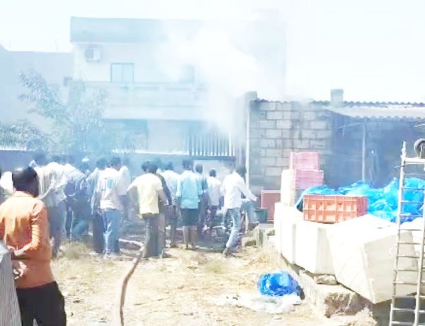 વેરાવળ જીઆઈડીસીની મરીન કંપનીના પૂંઠાના ગોડાઉનમાં ભીષણ આગથી અફરાતફરી મચી