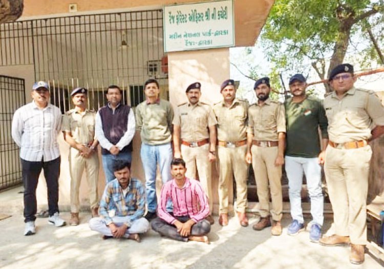 દ્વારકા નજીકના રૂપેણ બંદર વિસ્તારમાંથી કુંજ પક્ષીનો શિકાર કરતી ટોળકીના બે શખ્સો ઝડપાયા