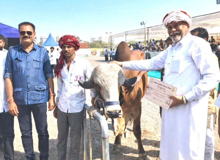 રાજકોટ ખાતે આયોજિત ઈન્ડિયન કેટલ શો ૨૦૨૬માં ગીર જાતિના પશુઓની અનોખી ઝલક જાેવા મળી