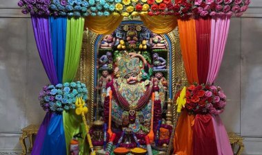 હોળી નિમિત્તે શ્રીકષ્ટભંજનદેવ દાદાને એમ્બ્રોઇડરી વર્કવાળા વાઘા તથા સિંહાસને ગુલાબના ફુલો અને રંગબેરંગી કાપડનો દિવ્ય શણગાર કરાયો