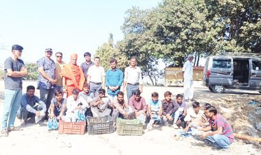 જૂનાગઢની સેવાભાવી સંસ્થા ગિરનારી ગ્રુપ દ્વારા ધુળેટી પર્વની અનોખી ઉજવણી