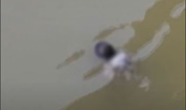 જૂનાગઢના વંથલી-સોમનાથ હાઈવે નજીક ઓઝત નદીના પુલ પાસે યુવકની તરતી લાશ મળી