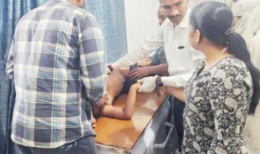 ગીરગઢડા તાલુકાના શાણાવાકિયા ગામની સીમમાં કેસર કેરીના બગીચામાં ખાખડી વીણતી આઠ વર્ષની દીકરીને માતાની નજર સામે ઉપાડી જઈ સિંહણે હુમલો કરી નાસવા લાગતા માતાએ છુટ્ટા પથ્થર મારી સિંહણના મુખમાંથી દીકરીને છોડાવી