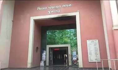 જૂનાગઢ જીલ્લા પંચાયત અને ૯ તાલુકા પંચાયતમાં ૧૬ માર્ચે  મુદત પૂર્ણ : ૧૭મીથી વહીવટદાર શાસન