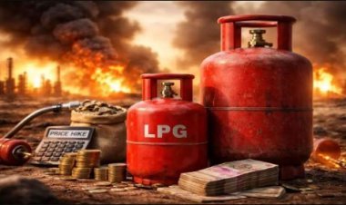 એલપીજી સંબંધિત ફરીયાદ અને મદદ માટે સરકાર દ્વારા હેલ્પલાઈન શરૂ કરાઈ