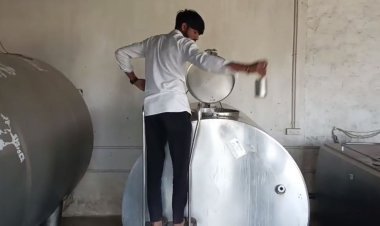 કેશોદમાં ફૂડ એન્ડ ડ્રગ્સ વિભાગ અને એસઓજી પોલીસના જાણીતી ડેરીમાં દરોડા : દૂધના નમૂના લેવાયા