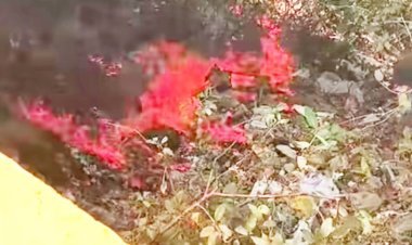 ભવનાથ જવાના રસ્તા પર અશોક શિલાલેખ પાસે દર્વેશ્વર મહાદેવ મંદિર નજીક આગ લાગી