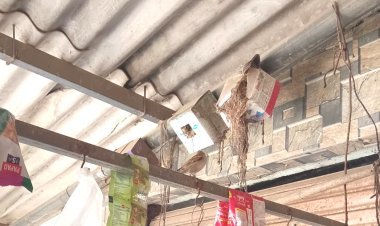 વેરાવળ તાલુકાનાં દેદા ગામનાં અશ્વિનભાઈ બારડનો અનોખો ચકલી પ્રેમ