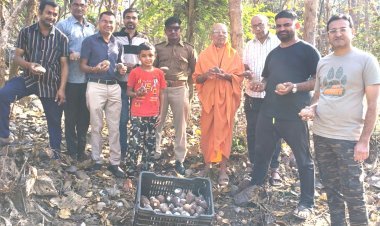 જૂનાગઢની સેવાભાવી સંસ્થા ગિરનારી ગ્રુપ દ્વારા ચૈત્રી માસમાં પ્રકૃતિ પ્રત્યેની અનોખી સેવા :૧૧૦૦ નાળિયેરનું કીડીયારૂ પૂરાયું