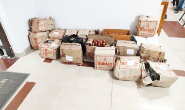 નાગકા ગામે રહેણાંક મકાનેથી એલસીબીએ વિદેશી દારૂનો જથ્થો ઝડપી પાડયો