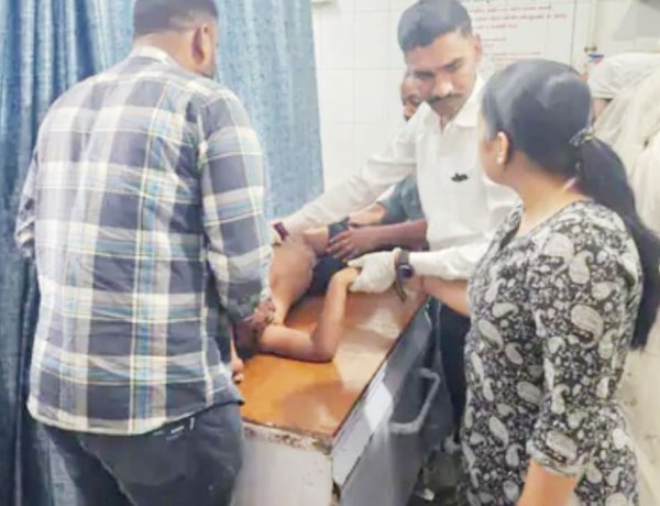 ગીરગઢડા તાલુકાના શાણાવાકિયા ગામની સીમમાં કેસર કેરીના બગીચામાં ખાખડી વીણતી આઠ વર્ષની દીકરીને માતાની નજર સામે ઉપાડી જઈ સિંહણે હુમલો કરી નાસવા લાગતા માતાએ છુટ્ટા પથ્થર મારી સિંહણના મુખમાંથી દીકરીને છોડાવી