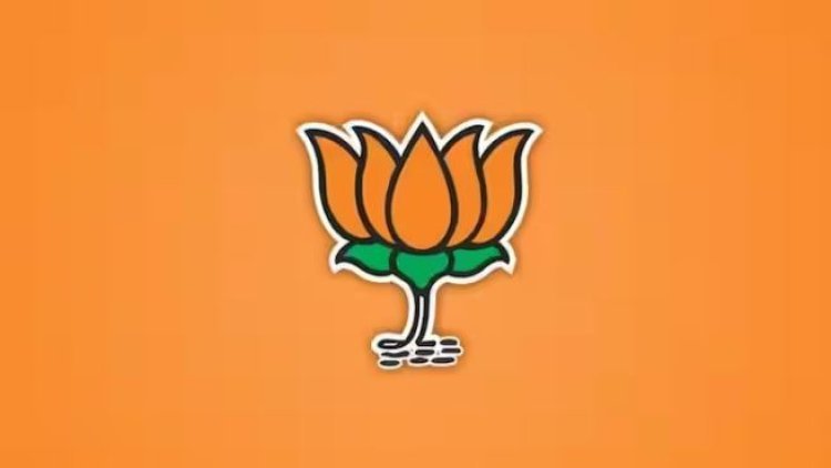 ભાજપના અચ્છે દિન : ર૦ર૪-રપમાં સૌથી વધુ રૂા.૬૭૬૯ કરોડની આવક થઈ