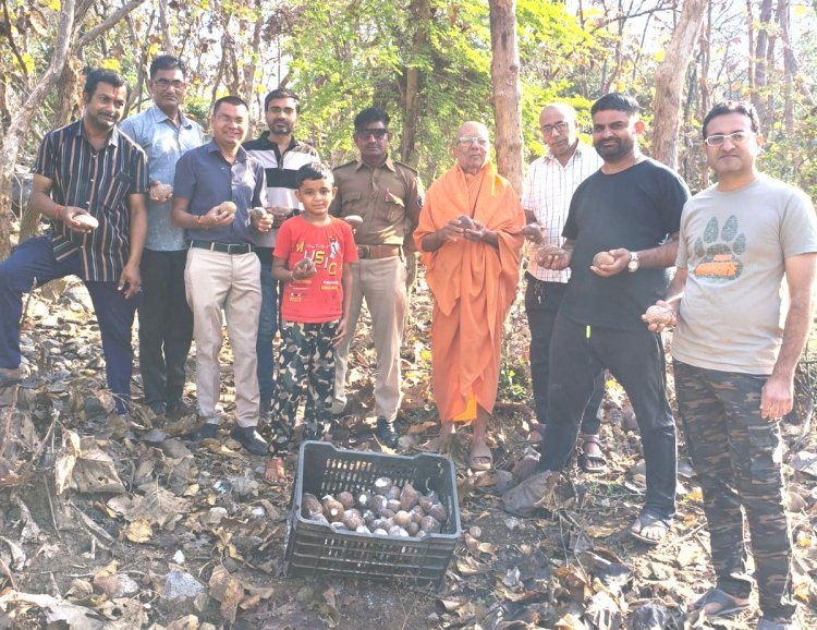 જૂનાગઢની સેવાભાવી સંસ્થા ગિરનારી ગ્રુપ દ્વારા ચૈત્રી માસમાં પ્રકૃતિ પ્રત્યેની અનોખી સેવા :૧૧૦૦ નાળિયેરનું કીડીયારૂ પૂરાયું