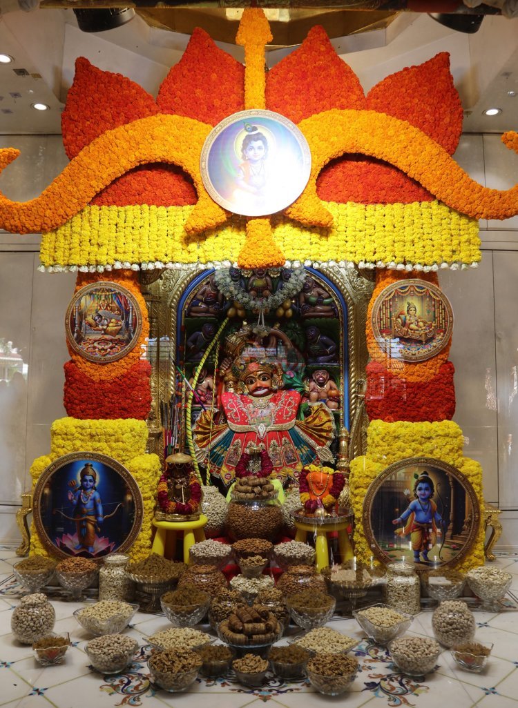 સાળંગપુરધામમાં શ્રી રામનવમી અને ઘનશ્યામ જન્મોત્સવની ભવ્ય ઉજવણી