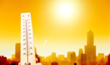 ગુજરાતના 4 જિલ્લાનું તાપમાન 40°Cને પાર : રાજકોટ 41.9 ડિગ્રી સાથે સૌથી ગરમ