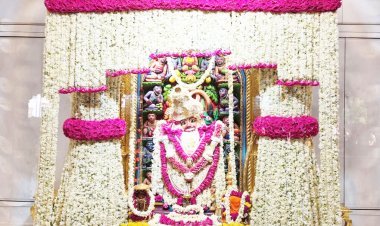 સાળંગપુરધામમાં શ્રી કષ્ટભંજનદેવ દાદાને મોગરાના પુષ્પોનો દિવ્ય શણગાર