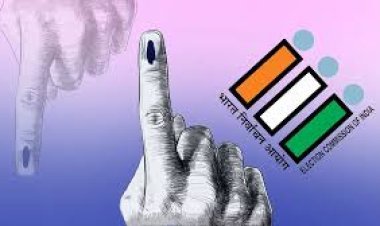 જૂનાગઢ જીલ્લા, ૯ તાલુકા પંચાયતની ચુંટણી આડે માત્ર ચાર દિવસ