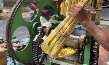 જૂનાગઢમાં ઠંડા પીણા, આઈસ્ક્રીમ, ગોલા, કુલ્ફી, શેરડીનાં રસના વેચાણ કેન્દ્રો શરૂ થયા