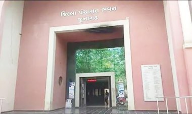 જૂનાગઢ જીલ્લા પંચાયતના પ્રમુખ પદનો તાજ કોના શિરે ? 