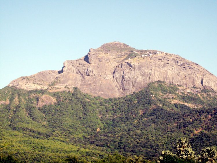 જૂનાગઢમાં આવતીકાલે ‘ગીરનાર બચાવો મહારેલી’ :  આંદોલનનાં મંડાણ