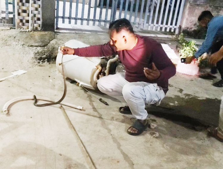 ભાણવડમાં વોશિંગ મશીનમાંથી  કોબ્રા નીકળ્યો : દિલધડક રેસ્ક્યુ કરાયું