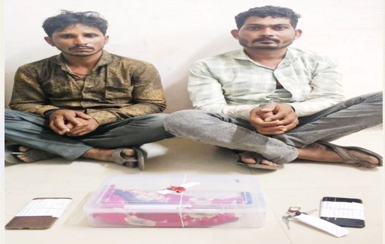 કુતિયાણાના ચૌટા ચેક પોસ્ટ પરથી તમંચા સાથે એમ.પી.ના બે શખ્સોને ઝડપી લેતી પોરબંદર SOG