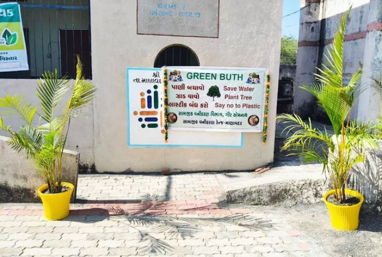 જૂનાગઢ જિલ્લામાં પર્યાવરણના જતનના સંદેશ સાથે લોકશાહીના પર્વની ઉજવણી