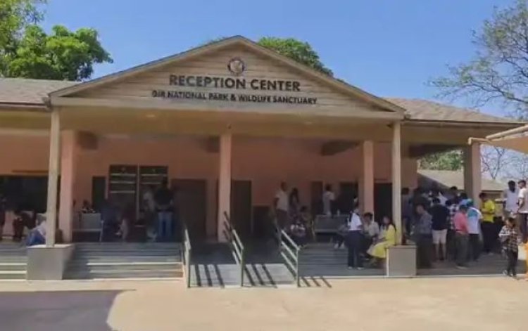 સાસણ ગીરમાં ગૂંજશે વન્યજીવ સંરક્ષણનો વૈશ્વિક સ્વર