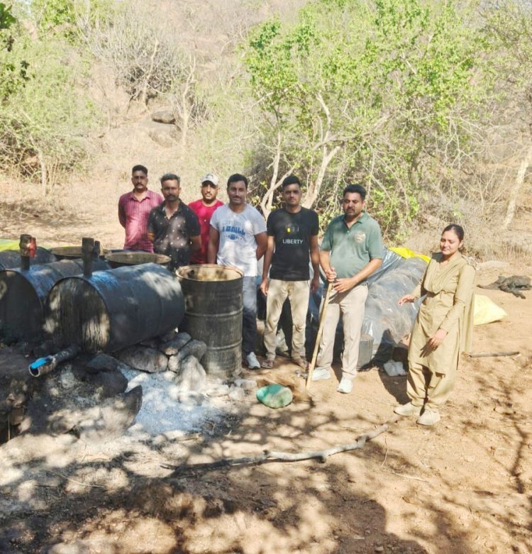 બરડા ડુંગર વિસ્તારમાં ગંડીયા વાળા નેસ નજીકથી બે દેશી દારૂની ભઠ્ઠીઓનો પર્દાફાશ