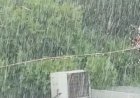 બાલાસીનોરમાં પોણા છ ઈંચ વરસાદ ખાબકયો