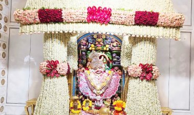 સાળંગપુરધામમાં શ્રી કષ્ટભંજન દેવ દાદાને જરદોશી વર્કવાળા વાઘા અને ચાંદીનો મુગટ સાથે જૂઈ-ગુલાબના ફૂલોનો દિવ્ય શણગાર અને સુખડીનો અન્નકૂટ ધરાવાયો