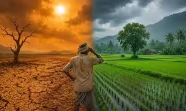 ચોમાસાના વિલંબથી ખેતીને ભારે નુકશાન : કૃષી ઉત્પાદનમાં 30 થી 40 ટકાના ઘટાડાની આશંકા