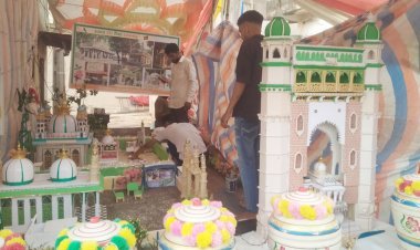 આજે સાંજે સેજ-તાજીયા પડમાં આવશે : આવતીકાલે સાંજે પરંપરાગત ઝુલુશ