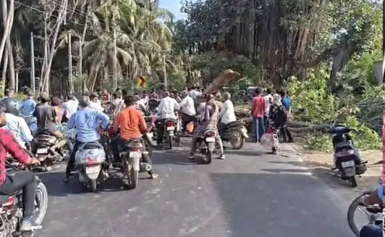 માંગરોળ-કેશોદ હાઈવે પર વડનું વૃક્ષ પડતાં ટ્રાફિક ઠપ