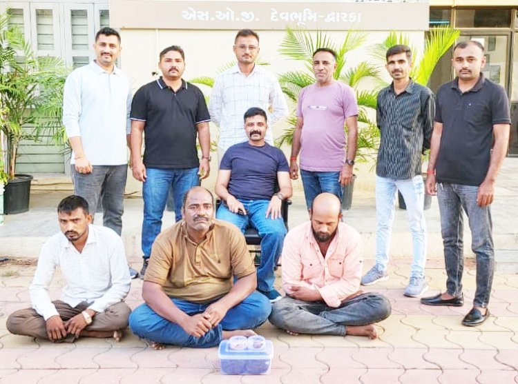 ખંભાળિયામાંથી ગેરકાયદેસર રીતે એમ્બરગ્રીસ, કસ્તુરી અને સિંહના નખ સાથે ત્રણ શખ્સો ઝડપાયા : રૂા.1.08 કરોડનો મુદ્દામાલ કબ્જે