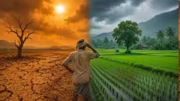 ચોમાસાના વિલંબથી ખેતીને ભારે નુકશાન : કૃષી ઉત્પાદનમાં 30 થી 40 ટકાના ઘટાડાની આશંકા