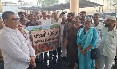 જૂનાગઢના લોકોની ફરિયાદો - પ્રજાકીય પ્રશ્ને કોંગ્રેસનું કમિશ્નરને આવેદનપત્ર
