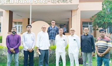 શિક્ષકોના પગારમાં અનિયમિતતા સામે રોષ  પ્રાથમિક શૈક્ષણિક સંઘ દ્વારા ડીડીઓને આવેદનપત્ર