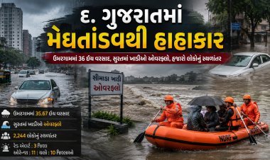 દક્ષિણ ગુજરાતમાં મેઘતાંડવ, ઉમરગામમાં 36 ઇંચ વરસાદ; અમદાવાદ-સુરતમાં જનજીવન ઠપ