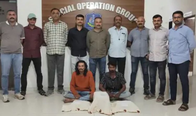 ઓડીશાથી ટપાલ મારફતે મંગાવવામાં આવેલ 4.239 કિલો ગાંજાના જથ્થા સાથે એસઓજીએ બે પેડલરોને ઝડપી લીધા