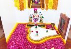 દેવભૂમિ દ્વારકા જિલ્લામાં આવતીકાલથી શ્રાવણ માસમાં શિવ મંદિરોમાં વિવિધ કાર્યક્રમો