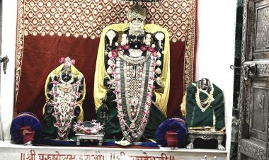 જૂનાગઢ : રાધારમણ દામોદર મંદિરે નાગપંચમીની ઉજવણી